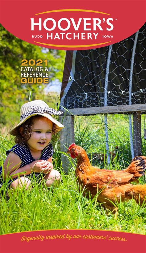 S+ hatchery - Supplies & Equipment. Things to make your new friends comfortable. Books for Everyone. Brooding Equipment. Watering Equipment. Feeding Equipment. Processing Equipment. Egg Laying Equipment. Miscellaneous.